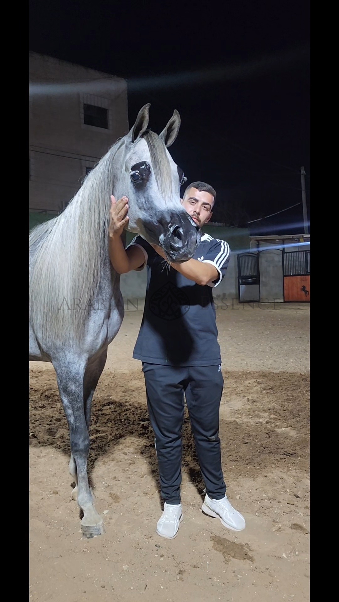 FOTOON ML | Arabian Essence TV