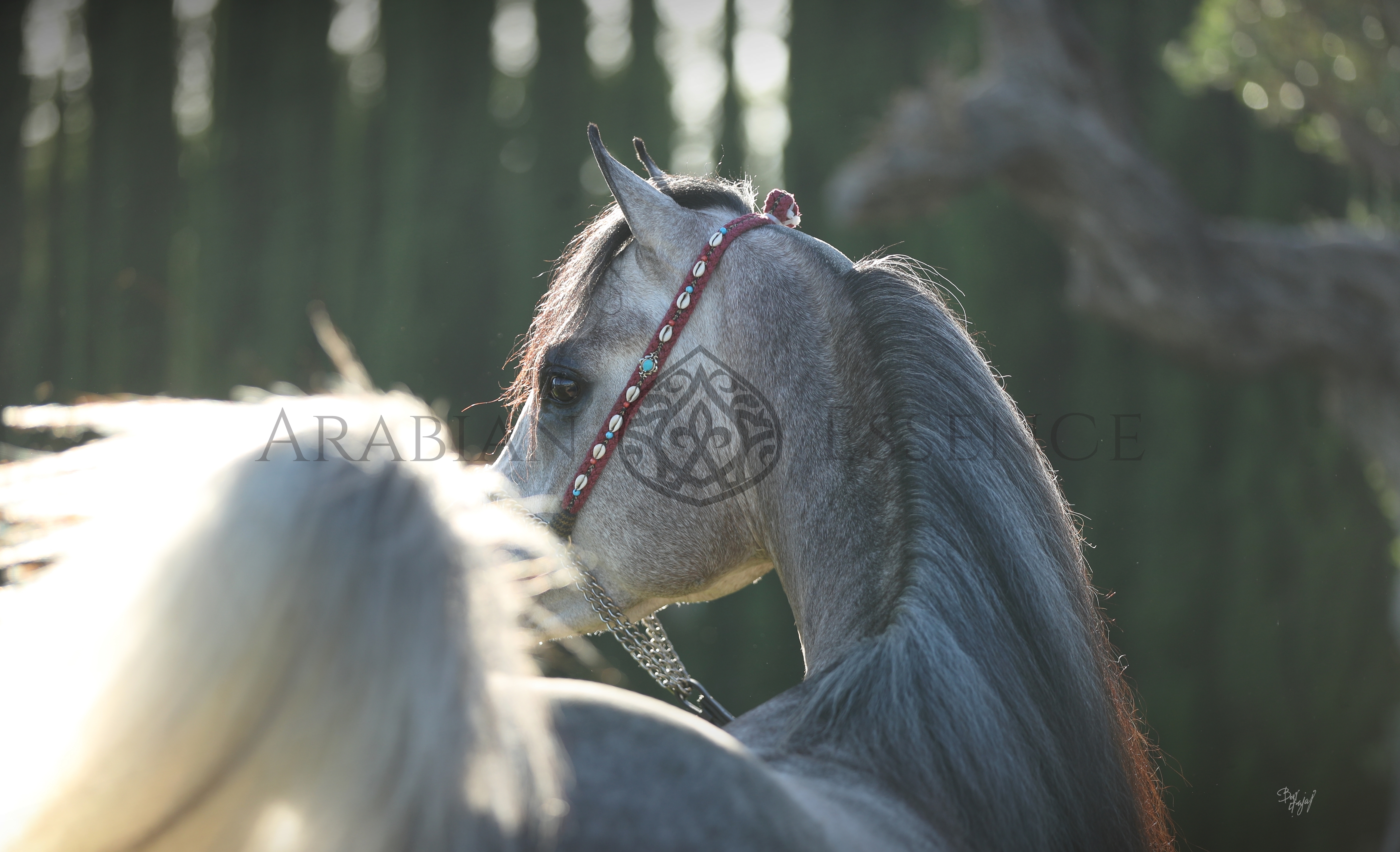 Ona qizini ginekologga olib keldi.