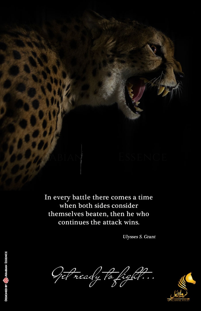 Get Ready To Fight Arabian Essence Tv Get Ready To Fight Arabian Essence Tv