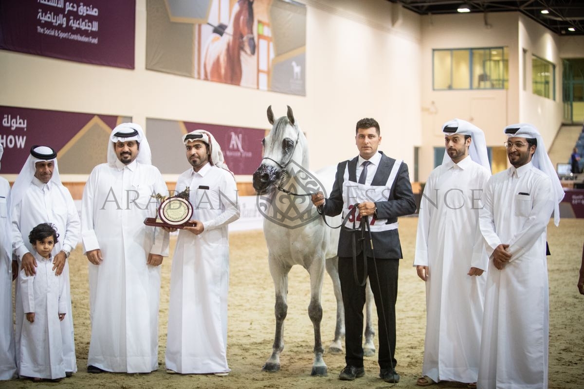 Daffer Logo D DAFFER | Arabian Essence TV