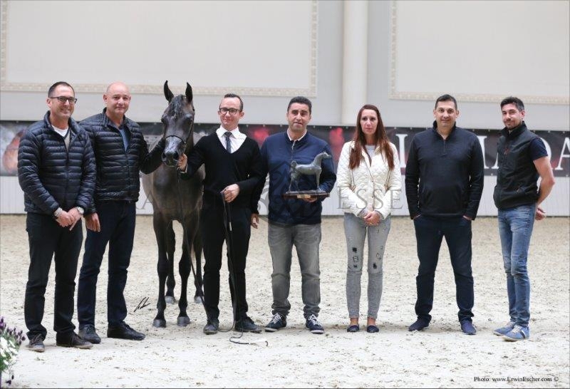 SALSABIL AA WERDER 2015 3rd Berlin Cup International Egyptian