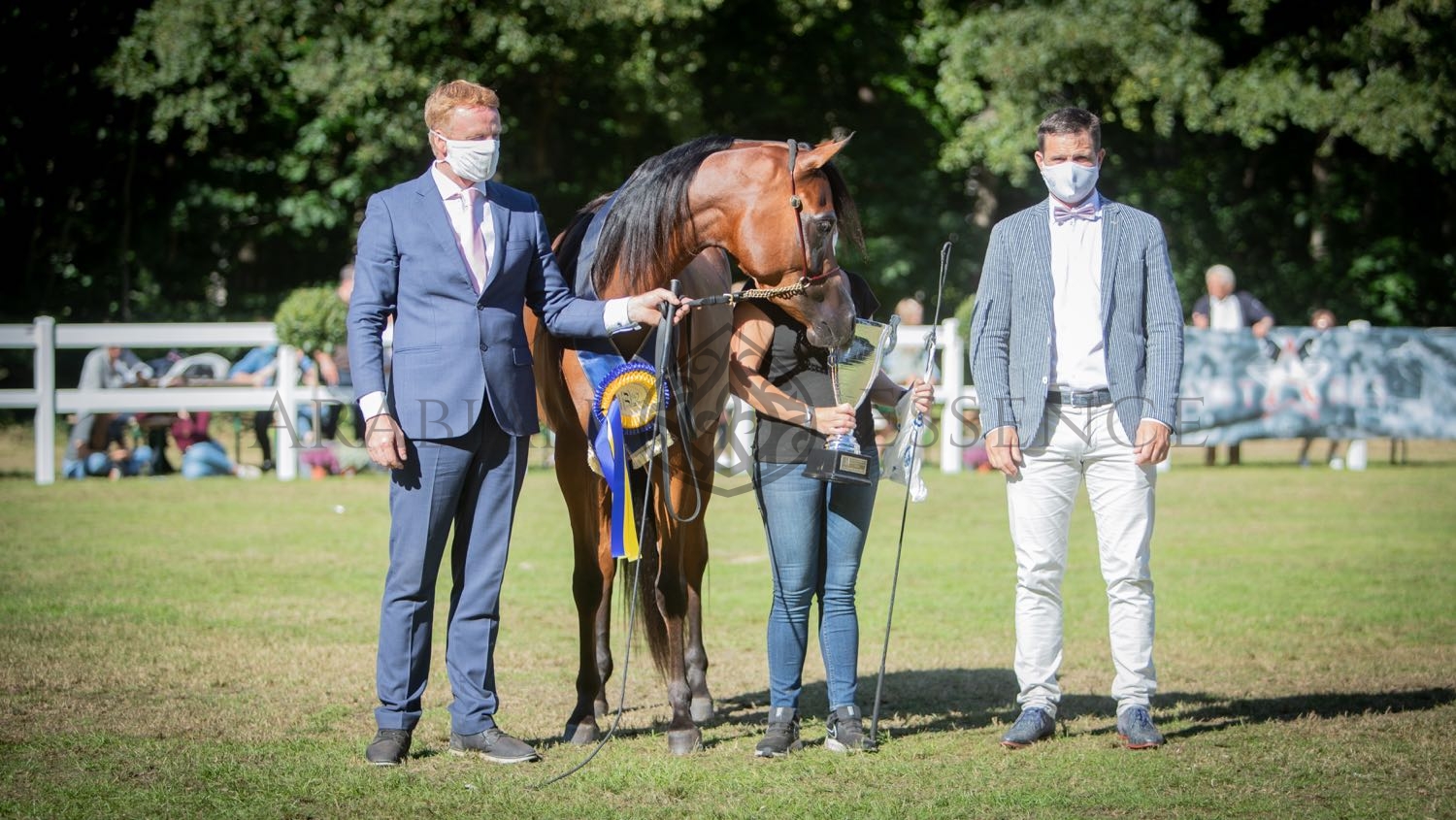 AJ GHASHMARAH | Kuwait Purebred Arabian Horses Show 2022 | Events AJ GHASHMARAH | Kuwait Purebred Arabian Horses Show 2022 | Events