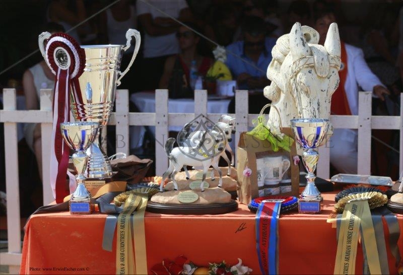 Le Championnat du Monde du Cheval Arabe Paris 2022, un véritable succès - Luxe Infinity Le Championnat du Monde du Cheval Arabe Paris 2022, un véritable succès - Luxe Infinity