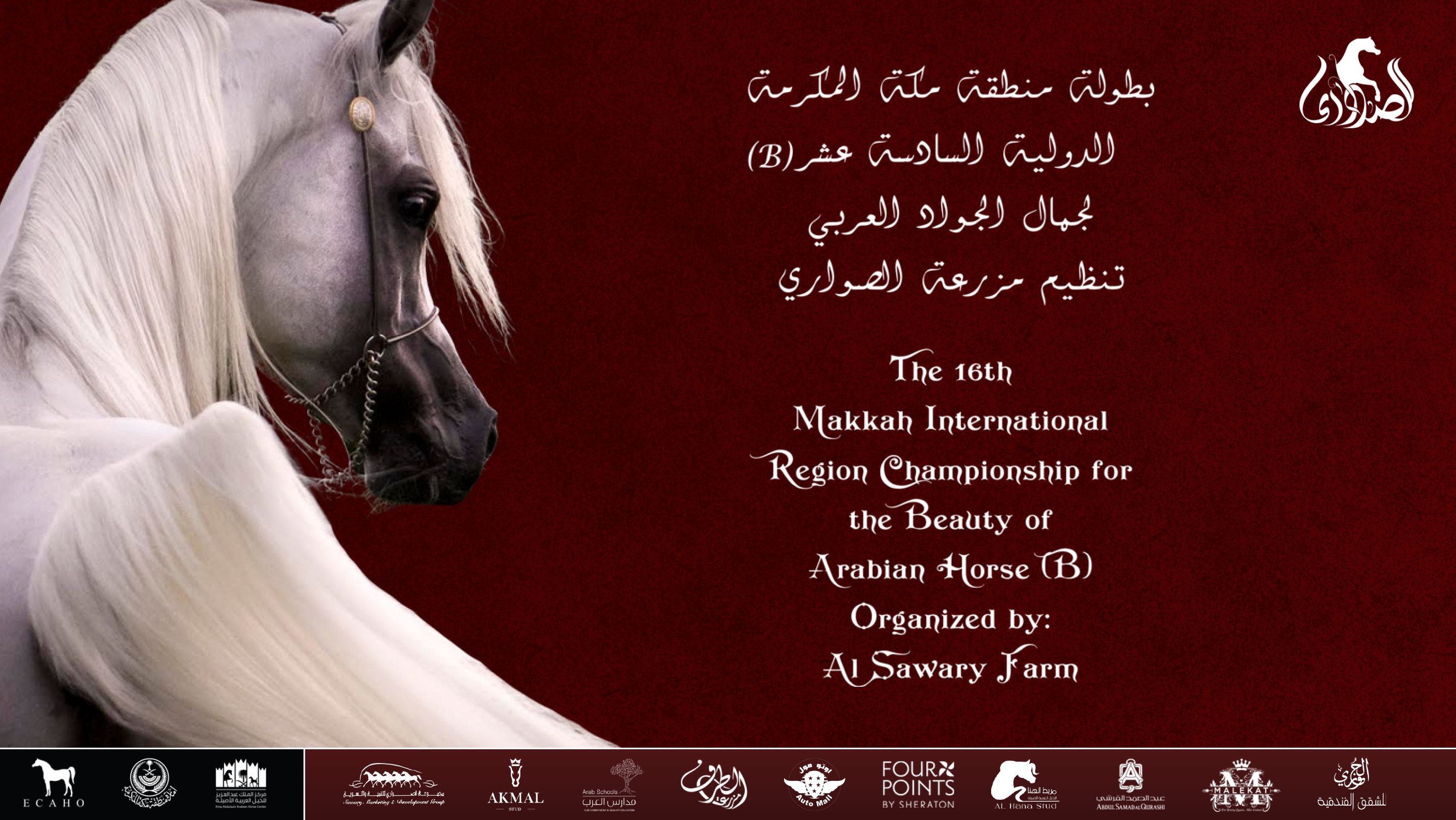16th Makkah International A H Championship 2025 Events Arabian