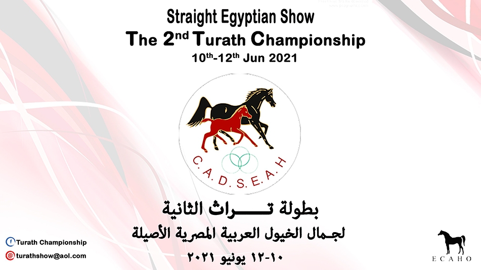 Turath Championship 21 Events Arabian Essence Tv