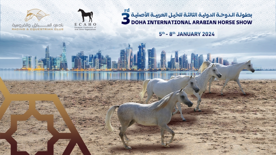 البوستر الدعائي بطولة الدوحة الدولية الثالثة لجمال الخيول العربية