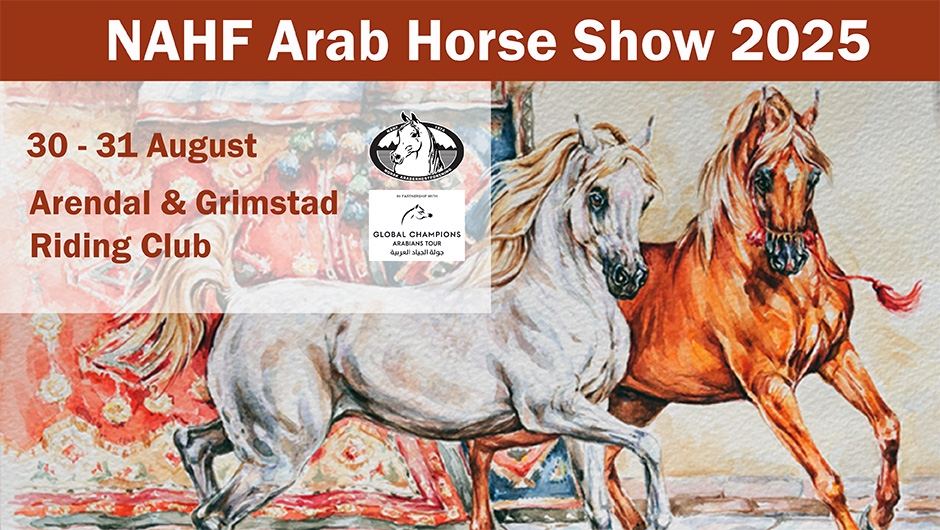 NAHF Arab Horse Show 2025 Events Arabian Essence TV