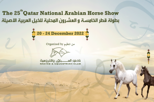 Qatar National Arabian Horse Championship 2022 | Events | Arabian ...